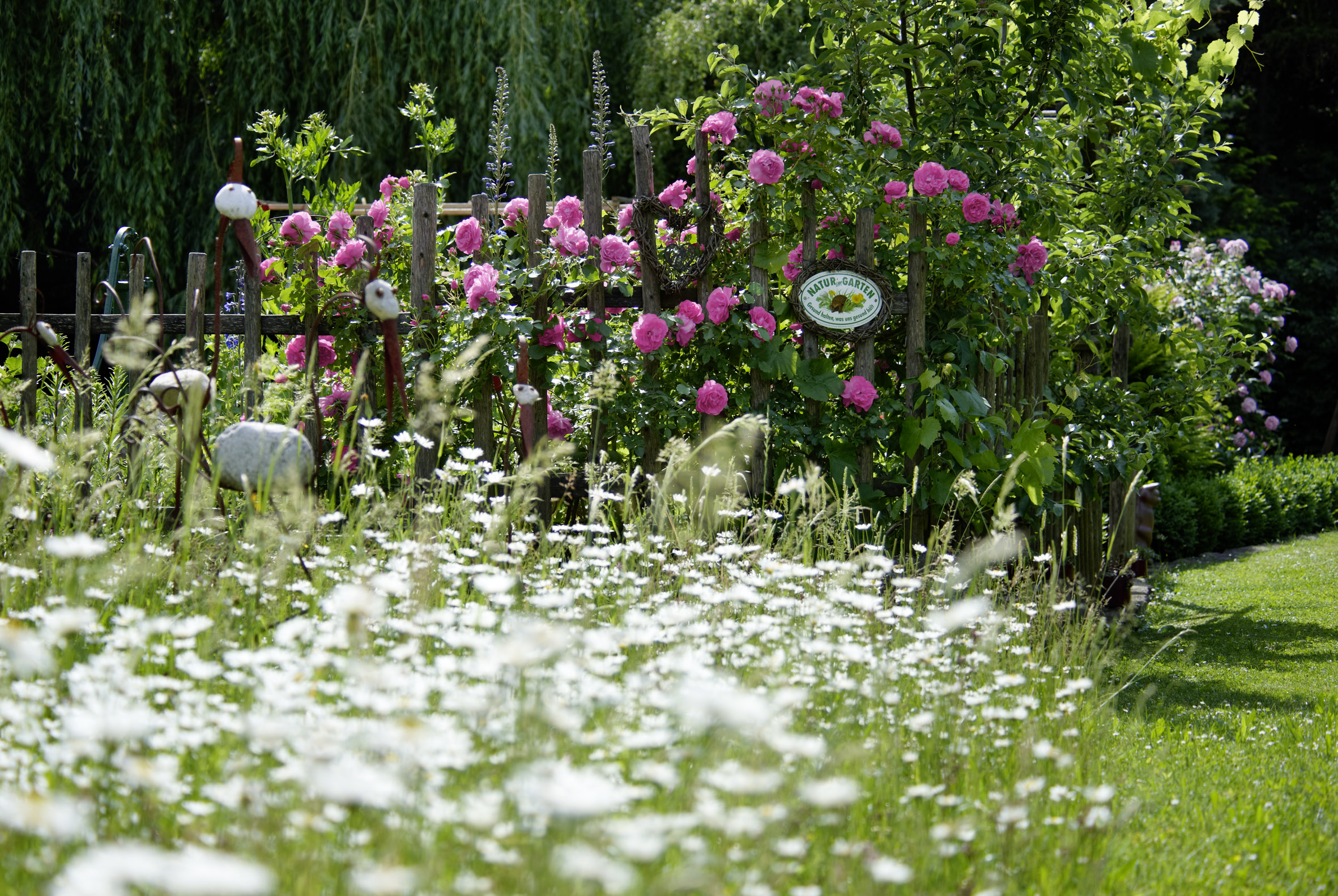 Natur im Garten | Blühendes Österreich