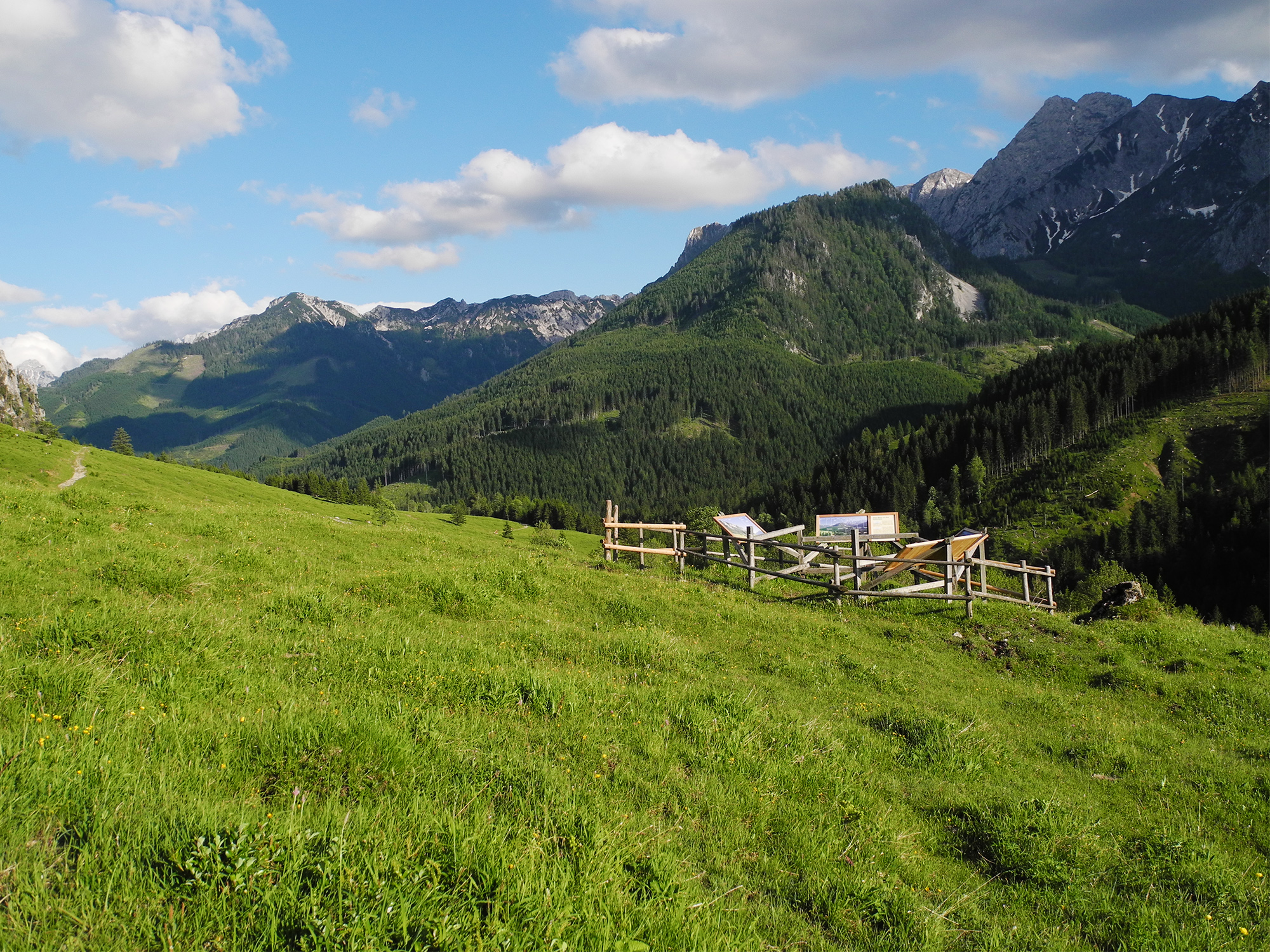 Von Alm Zu Alm | Nationalpark Kalkalpen | Blühendes Österreich