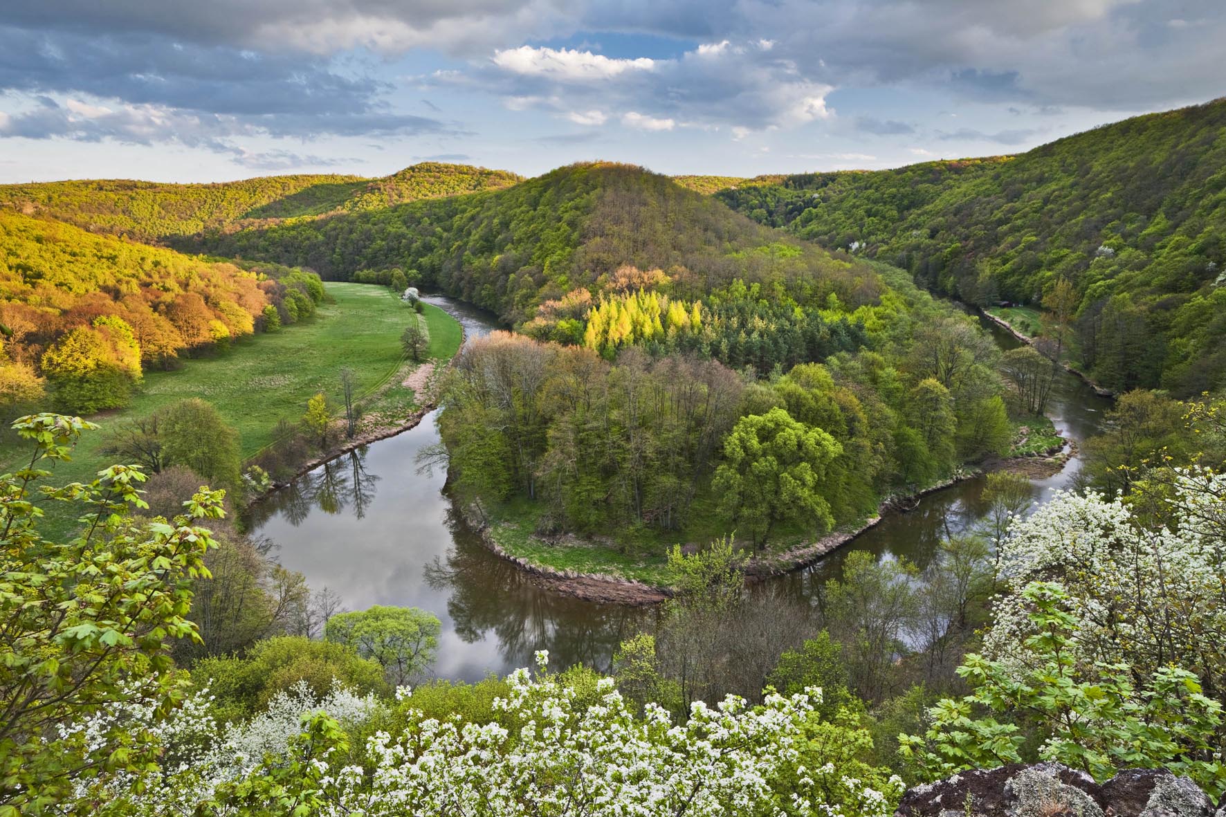 Der Umlauf Und Sein Berg | Nationalpark Thayatal | Blühendes Österreich