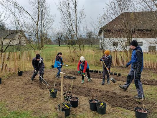 Beim Aktivtag werden Beerensträucher gepflanzt © Susanna Staudinger Kinder pflanzen Sträucher