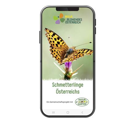 Schmetterlingsapp © Marian & Co GmbH/ Inhouse Medienagentur REWE Group  Schmetterlingsapp