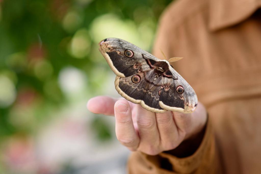 Nachtaktive Tiere wer raschelt nachts im Garten