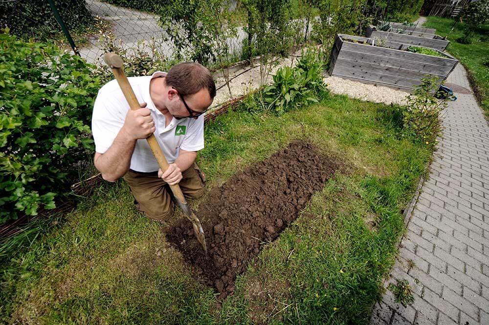 Schmetterlingswiese auflockern © Blühendes Österreich / Alex Papis Schmetterlingswiese auflockern