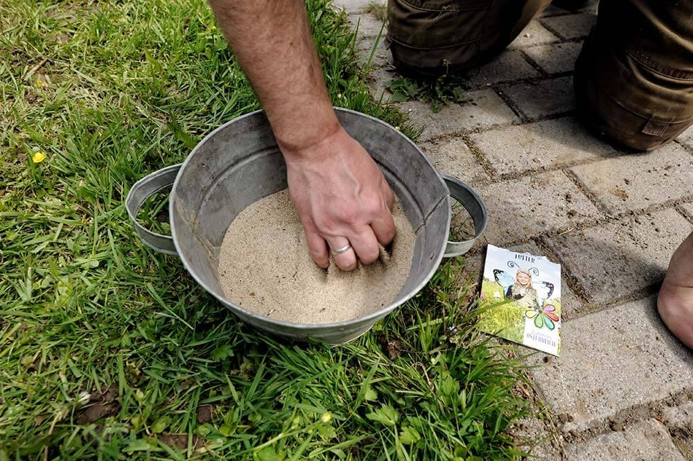 Quarzsand mit Erde vermischen © Blühendes Österreich / Alex Papis Quarzsand mit Erde vermischen