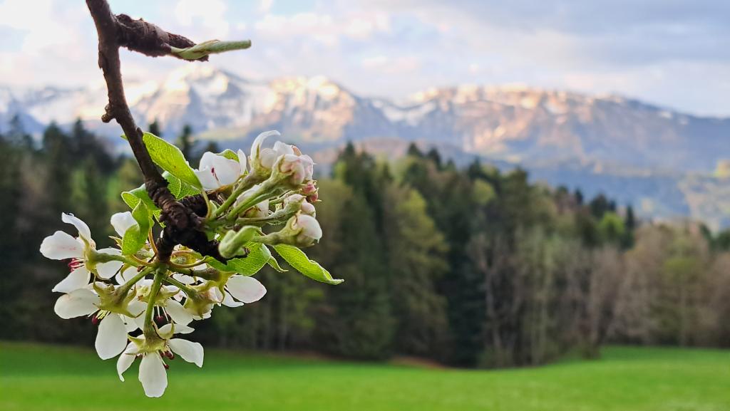 Naturpark Nagehlfluhkette