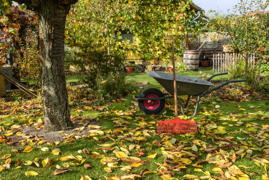 Herbstgarten