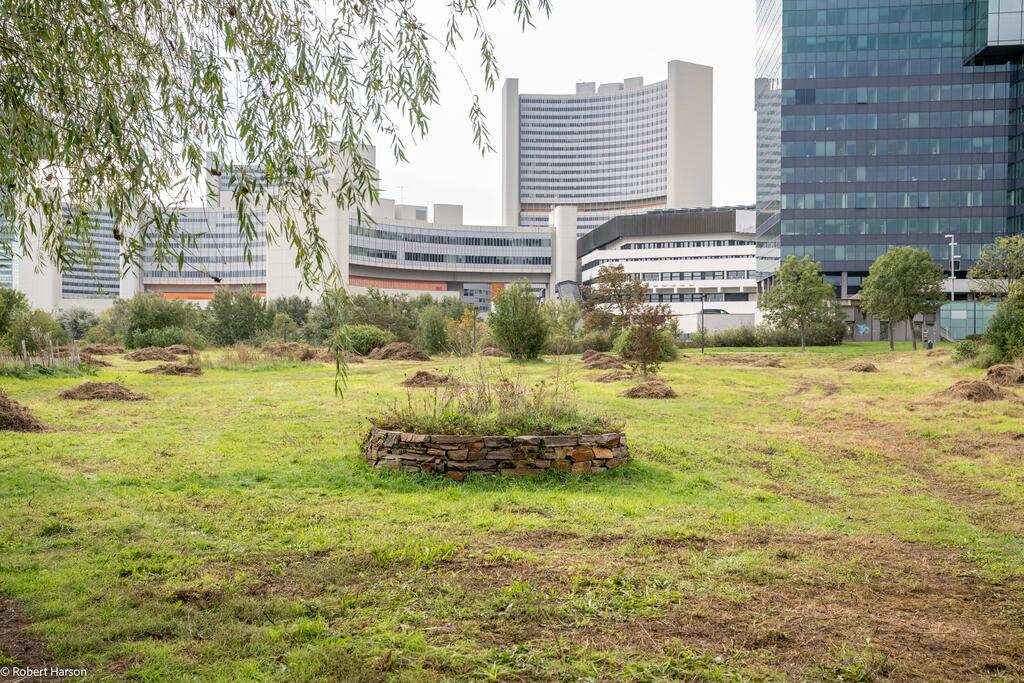 Schmetterlingswiese im Donaupark