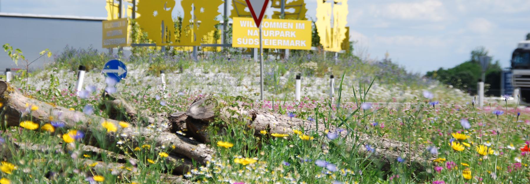 Ein erster Eindruck über die bunte Vielfalt nach nur 3 Monaten (A9 Autobahnabfahrt Vogau-Straß) © Naturpark-Südsteiermark Ein erster Eindruck über die bunte Vielfalt nach nur 3 Monaten (A9 Autobahnabfahrt Vogau-Straß)