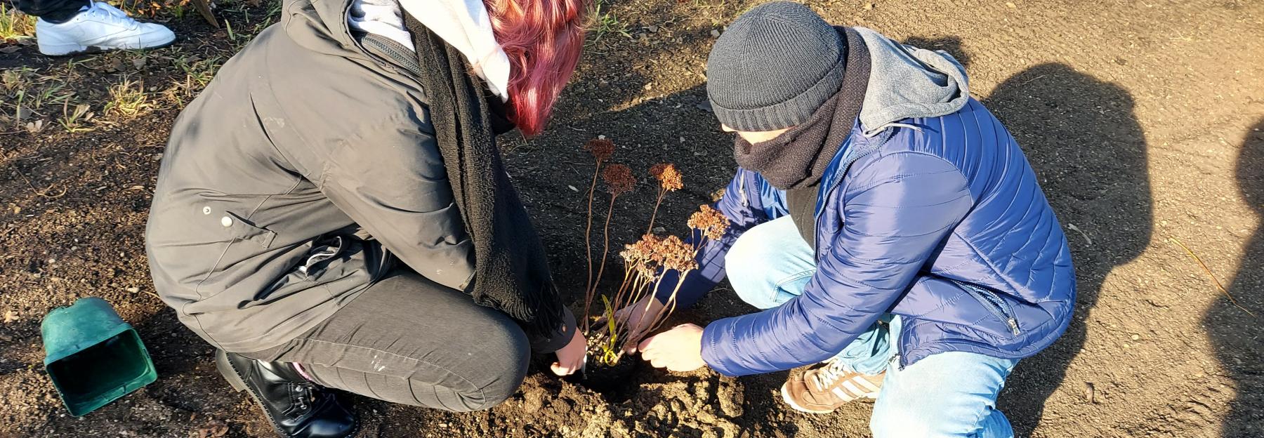 Jugendliche engagieren sich für mehr Biodiversität