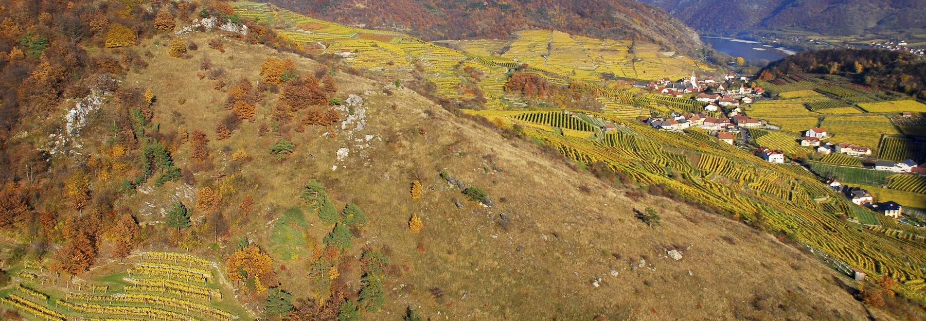 Setzberg, Wachau