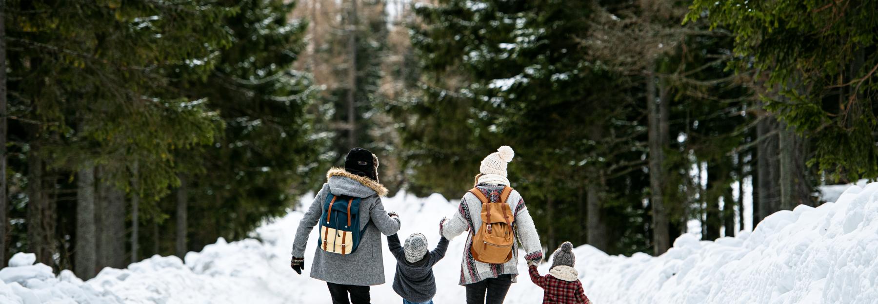 ©   Halfpoint / www.shutterstock.com Winterwald