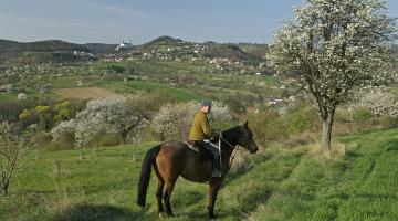 Naturpark Rosalia - Kogelberg