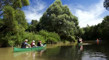 Kanutour im Naturpark Raab