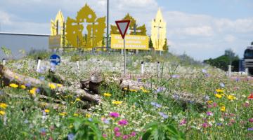 Ein erster Eindruck über die bunte Vielfalt nach nur 3 Monaten (A9 Autobahnabfahrt Vogau-Straß)