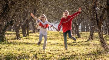 Alte Obstbaumbestände als Naturerlebnisort für SchülerInnen 