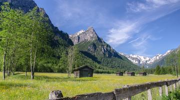 Lahnwiesen Gschnitztal