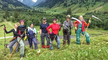 Sensenmäher*innen auf der Alm