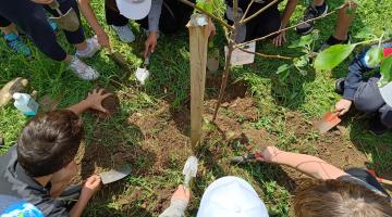 Volksschülerinnen pflanzen einen Obstbaum