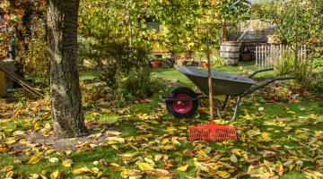 Herbstgarten