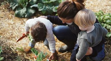 Kinder ernten im Naschgarten © Helene Gahr Kinder ernten im Naschgarten