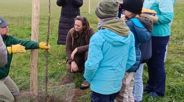 Neue Obstbäume für ein Schlaraffenland