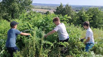 © Naturpark Rosalia Kogelberg Trockenrasenpflege im Juli