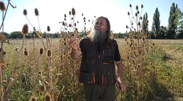 Rudi Schmid und seine Wilde Karden © Foxlane Films Mann im Wilde Karde Feld