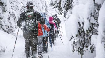 no reuse Kurz und bündig im Winter