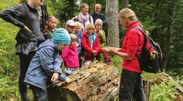 no reuse WildnisCamp fuer Familien Abenteuer Wald