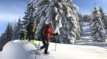 Schneeschuhwandern Hengstpaß