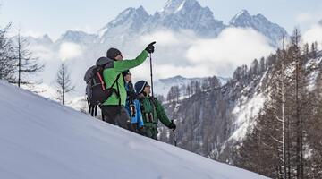 Steinböcke beobachten auf Schneeschuhen