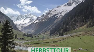 Nationalfeiertagstour - Lachalm Höhenweg © Siehe Veranstalter Nationalfeiertagstour - Lachalm Höhenweg