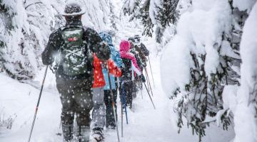 Der Nationalpark Gesäuse kurz und bündig im Winter