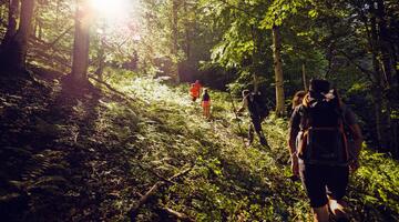 UNESCO-Welterbe Tour: Im Bodinggraben