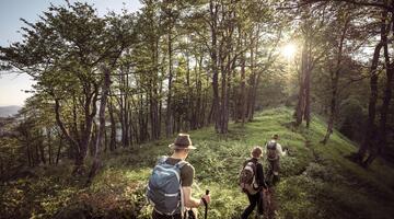 UNESCO-Welterbe Tour: Durchs Hintergebirge