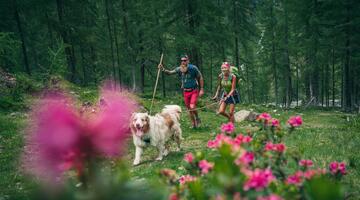 Nationalpark Wandertag: Stanziwurten © Siehe Veranstalter Nationalpark Wandertag: Stanziwurten