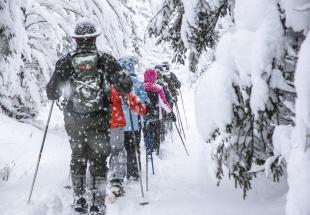 no reuse Kurz und bündig im Winter