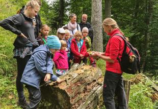 no reuse WildnisCamp fuer Familien Abenteuer Wald