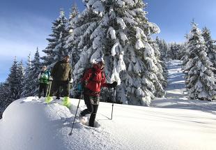 Schneeschuhwandern Hengstpaß