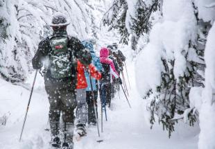 Der Nationalpark Gesäuse kurz und bündig im Winter