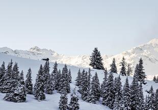 Wintererlebnis Hollersbachtal