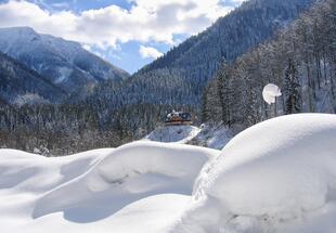 Fürsten in der Wildnis &#40;im Winter&#41;